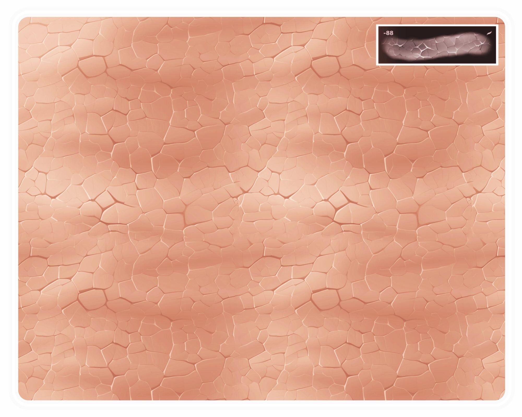 100 Procreate Human Skin Texture Brushes, Realistic Human Skin Texture