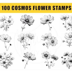 May include: A set of 100 black and white cosmos flower stamps. The stamps are drawn in a simple, elegant style and are perfect for adding a touch of nature to your crafts.