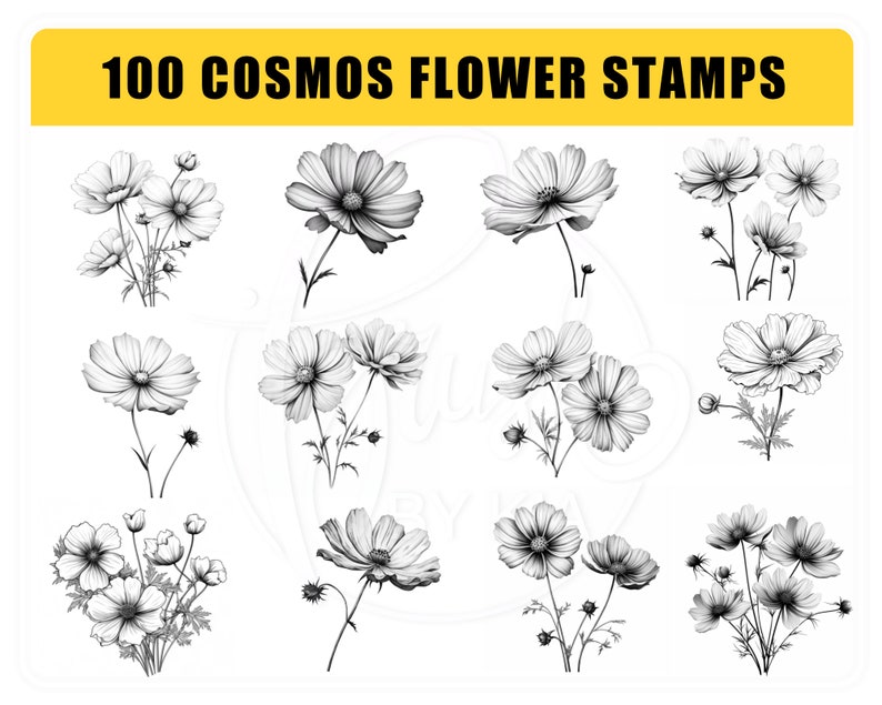 May include: A set of 100 black and white cosmos flower stamps. The stamps are drawn in a simple, elegant style and are perfect for adding a touch of nature to your crafts.