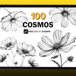 100 Procreate Cosmos Flower Stamps, Cosmos Flower Stamp, Procreate Stamps, Botanical Stamps, Instan Digital Download
