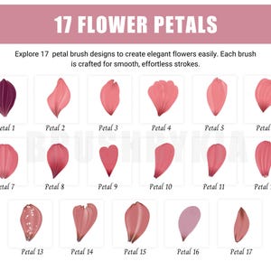 May include: A chart showing 17 different flower petal brush designs. Each petal is a different shape and color, ranging from pink to purple. The chart is titled "17 Flower Petals" and says "Explore 17 petal brush designs to create elegant flowers easily. Each brush is crafted for smooth, effortless strokes."