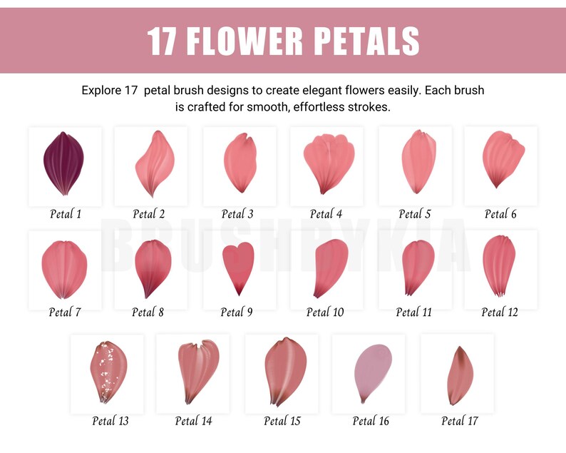 May include: A chart showing 17 different flower petal brush designs. Each petal is a different shape and color, ranging from pink to purple. The chart is titled "17 Flower Petals" and says "Explore 17 petal brush designs to create elegant flowers easily. Each brush is crafted for smooth, effortless strokes."