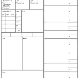 Op de afbeelding: Een witte medische grafiek met grijze lijnen en tekst. De grafiek bevat secties voor patiëntinformatie, vitale functies en notities. Het is ontworpen voor het registreren van patiëntevaluaties, medicatie en andere medische gegevens.