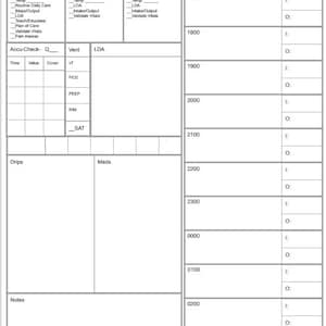 May include: A blank medical chart with sections for patient details, vital signs, and medication information. The chart includes spaces for time-based entries, notes, and assessments. It is designed for recording patient care data.