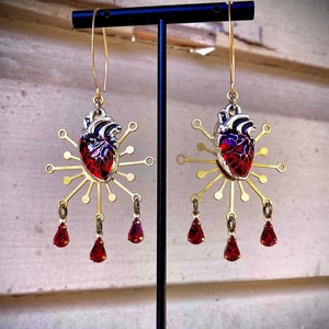 POUR Your HEART OUT: Bloody anatomical heart earrings with brass bursts & ruby glass drops/Statement earrings/Unique/Halloween/Gothic/Vampy