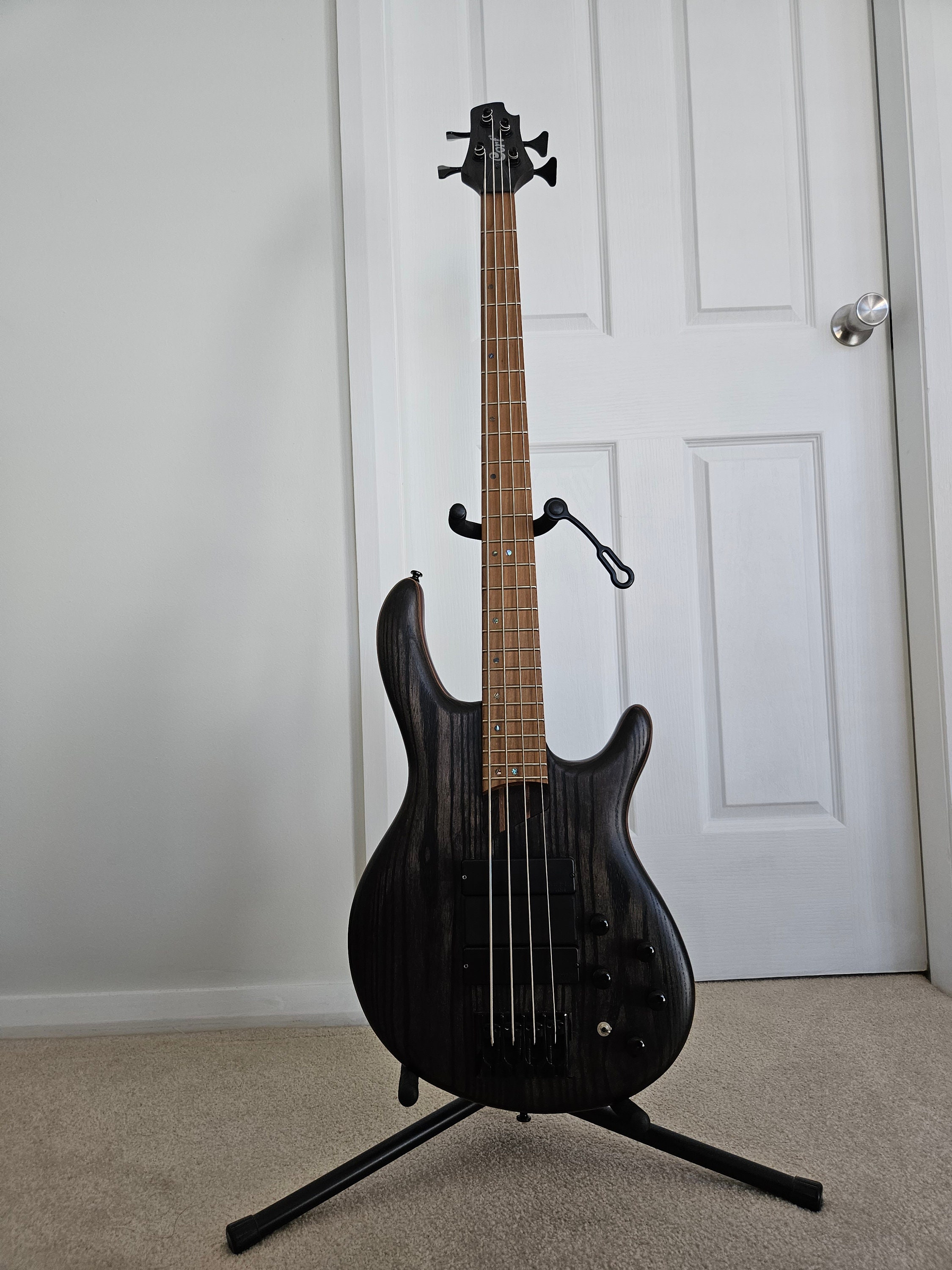 Buy Bass Guitar Kit Online In India -  India