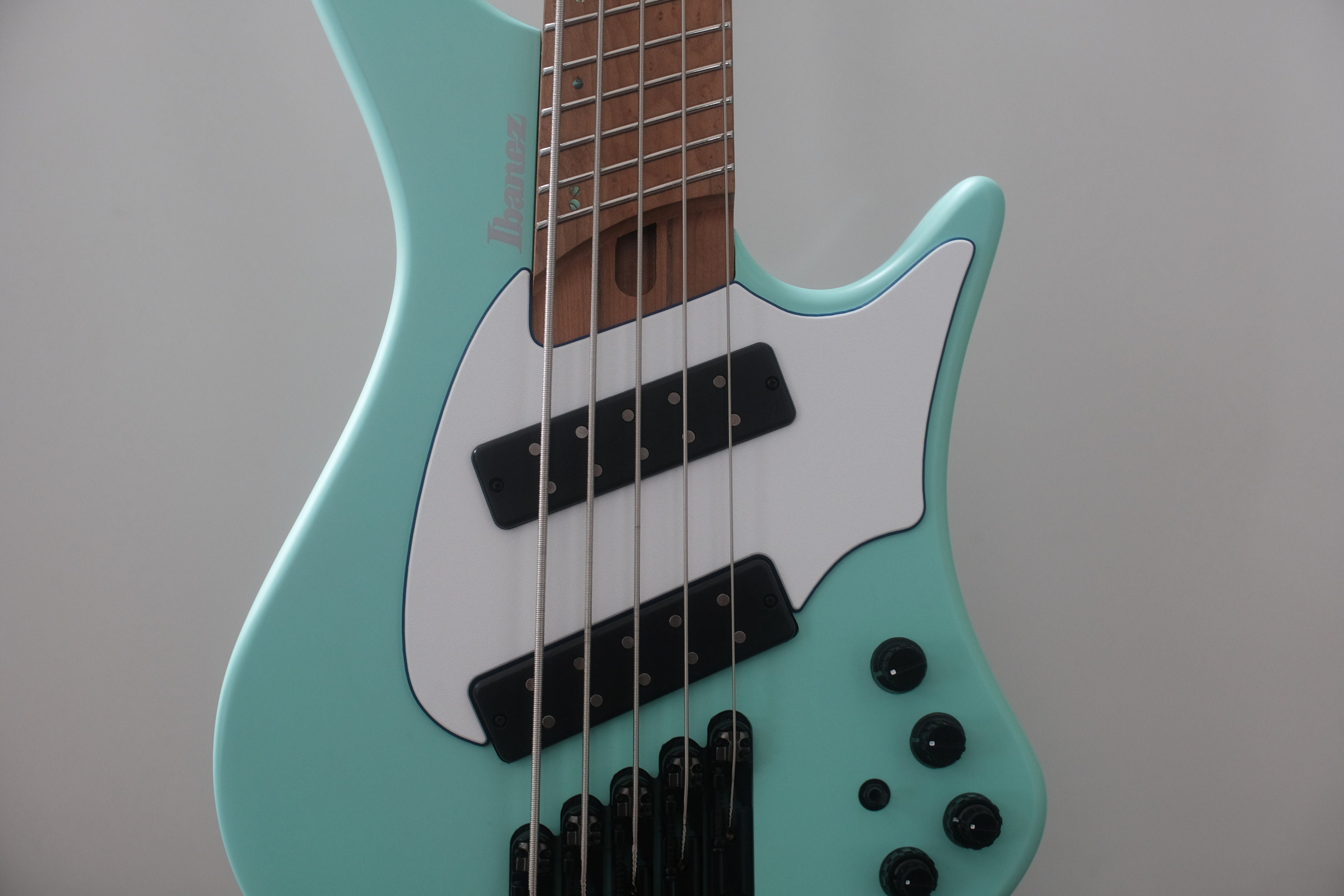 Ibanez EHB1005MS/1505MS/1265MS カスタムベースギターピックガード 2