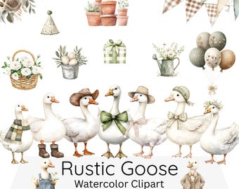 Watercolor Rustic Goose Clipart, Whimsical Cute Goose PNG, Silly Goose Clipart, Spring Vintage Cottagecore, nursery decor, Baby Shower Art