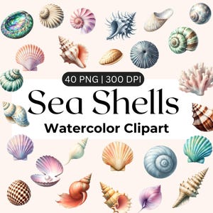Puede incluir: Clipart de acuarela con una colección de varias conchas marinas en tonos rosa, azul, verde y marrón. La imagen incluye una variedad de formas y tamaños de conchas, con el texto "Sea Shells Watercolor Clipart" en el centro.