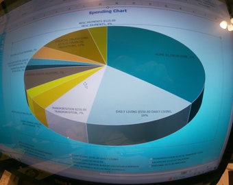 Presupuesto personal con un gráfico