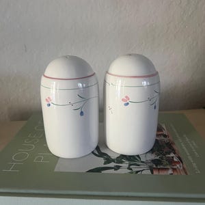 May include: Two white ceramic salt and pepper shakers with a rounded top and a decorative floral design. The shakers have a pink band near the top and are decorated with green stems and blue and pink floral accents.