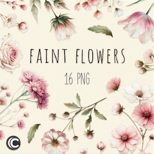 Clipart de fleurs rose pâle, fleurs poussiéreuses PNG, aquarelles florales, clipart de fleurs sauvages, tulipe rose, bouquets printaniers, bordures de prairie