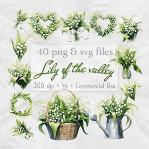 Lelietje-van-dalen clipart, aquarel bloemen, bloemen clipart, bruiloft clipart, kaart maken, bloemenkrans, PNG SVG, transparante achtergrond
