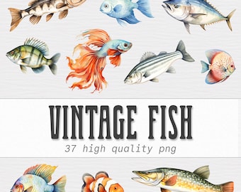 Fish Clipart Bundle, Vintage Fish, Fishing Illustrations, Sea fish, Nautical Clipart, Ocean PNG, Digital Instant Download, Commercial Use