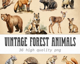 Vintage Forest animals clipart Bundle, watercolor Woodland png, deer, fox, bear, squirrel, owl, wolf, rabbit illustrations, Digital Download