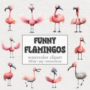 Funny Flamingo Clipart Bundle, Cute Flamingos Graphics, Crazy Birds, Watercolor Animals PNG, Nursery Decor, Commercial Use, Digital Download