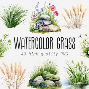 Aquarelle Grass Clipart Bundle, touffes d’herbe, herbe de pampa, prairie, pierre, PNG floral botanique, téléchargement numérique instantané, utilisation commerciale
