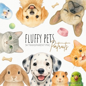 Fluffy Pets Portraits Clipart Set |  Watercolor Dog Cat Hamster PNG | Cute Animals Watercolor Clipart | Coquette Bunny Sublimation Designs