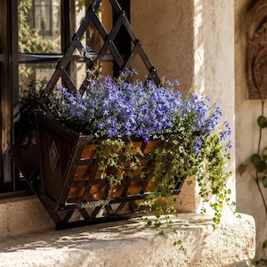 Spanish Plant Pots Outdoors - Etsy