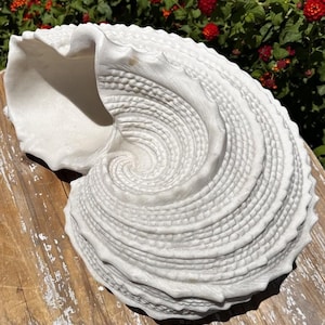 May include: A large, white, carved stone seashell sculpture featuring a detailed, spiraling, textured surface with raised ridges and a wide, open aperture. The object displays intricate, repeating patterns across its curved, shell-like form.
