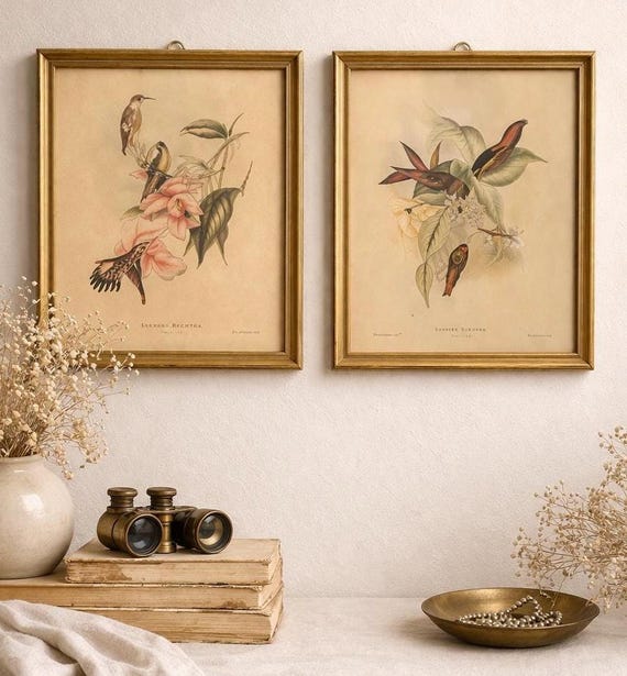 額入り鳥のプリント2枚セット ヴィンテージ植物画 ウォールアート 