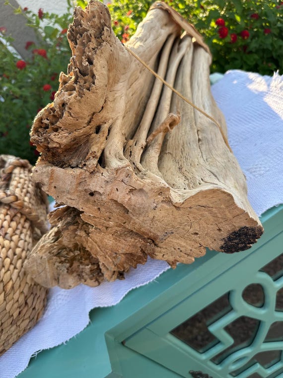 Vintage Rustic Saguaro Cactus Skeleton Table Lamp & Shade Unique