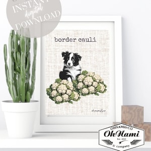 Border Collie Digitale Kunst, Tierdruck Wanddekor, lustige Tierdruck, Border Collie, Haustierliebhaber Wandkunst, Hunde Porträt Poster Druck,Collie