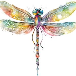 Op de afbeelding: Een kleurrijk aquarel schilderij van een libel met iriserende vleugels en een lichaam versierd met juwelen. De libel is afgebeeld tegen een witte achtergrond.