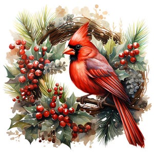 Puede incluir: Ilustración en acuarela de un cardenal rojo brillante posado en una rama, rodeado de una corona de acebo, bayas rojas y agujas de pino. El ave tiene una máscara negra y una cresta prominente, evocando un tema invernal festivo.