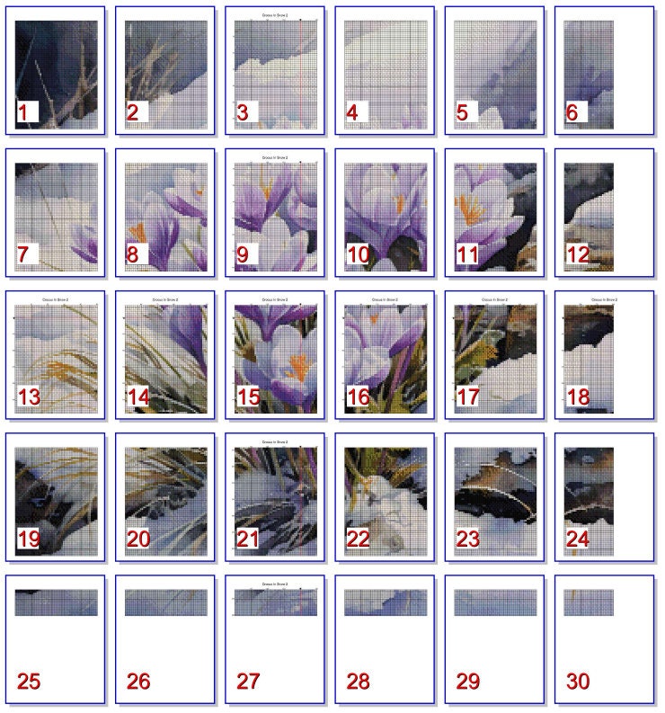 Crocus in the Snow 2 PDF Instant Digital Download Counted Cross Stitch ...