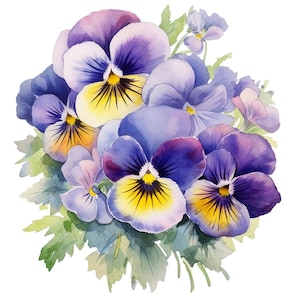 Può includere: Un dipinto ad acquerello di un mazzo di violette viola e gialle con foglie verdi.