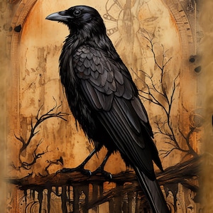 Black Raven the Messenger 7, kompatibel med mönsterhållare, PDF direkt digital nedladdning, utskrifter av räknade korsstygnsmönster i svartvitt och vitt