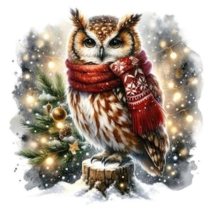 Patrón de búho navideño para 10 noches de invierno, compatible con el guardián, descarga digital instantánea en PDF, gráficos de punto de cruz BW CO para imprimir