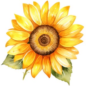 Small pattern bright yellow sunflower pattern keeper compatible, PDF instant digital download, counted cross stitch BW CO chart printouts