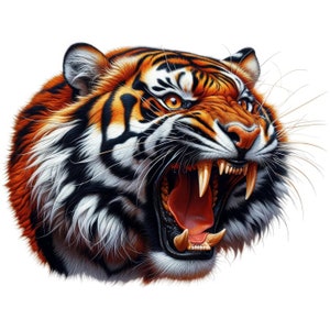 May include: A close-up of a tiger's head with its mouth open in a roar. The tiger has orange and black stripes with white fur around its eyes and mouth. The tiger's teeth are visible and its tongue is sticking out.