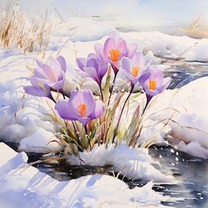 Könnte beinhalten: Ein Aquarellbild von lila Krokusblüten, die im Schnee blühen. Die Blüten befinden sich in verschiedenen Blühstadien, einige sind vollständig geöffnet, andere noch geschlossen. Der Schnee ist weiß und flauschig, der Hintergrund ist in einem sanften Blau gehalten.