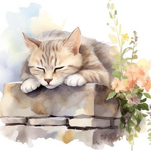 Pode incluir: Uma pintura em aquarela de um gato tigrado dormindo em uma parede de pedra. O gato está enroscado com as patas enfiadas debaixo do queixo. A parede é feita de pedras toscamente trabalhadas e está coberta de musgo. Há flores crescendo no fundo.