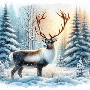 Könnte beinhalten: Aquarellmalerei eines Rentiers in einem verschneiten Wald. Das Rentier hat ein großes Geweih und ein braun-weißes Fell. Der Hintergrund zeigt schneebedeckte Kiefern und ein weiches, diffuses Licht.
