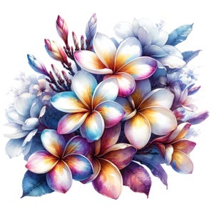 May include: A watercolour illustration of a bouquet of frangipani flowers. The flowers have white petals with yellow and pink gradients. The leaves are blue and purple, set against a white background.