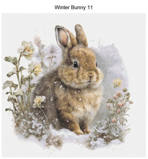 Patterns On Rabbit Fur Bunny Patterns Fur