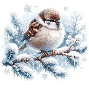 May include: A small brown and white bird perched on a snow-covered branch. The bird has a fluffy white chest and brown wings. The branch is covered in snow and ice.