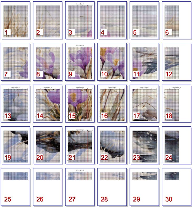 Crocus in the Snow 10 PDF Instant Digital Download Counted Cross Stitch ...