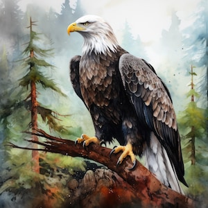 Weißkopfseeadler 12 gehockt, Tiergeist-Totem PDF sofortiger digitaler Download Kreuzstichmuster keeper kompatibel, Ausdruck der Farbkarte