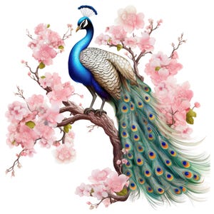 May include: A vibrant illustration of a peacock perched on a tree branch, surrounded by pink cherry blossoms. The peacock features a blue neck, white and tan body, and a long, ornate tail with blue and gold accents. The artwork is set against a white background.