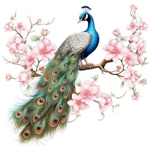 Può includere: Illustrazione ad acquerello di un pavone appollaiato su un ramo con fiori rosa. Il pavone ha piume blu, verdi e marroni. Lo sfondo è bianco.