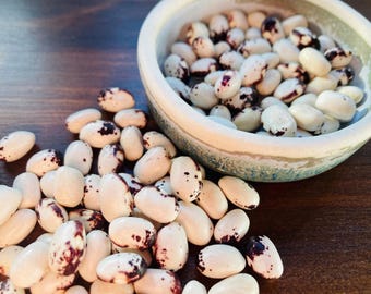 Nasiona fasoli heirloom – odmiana ‘Diamont’