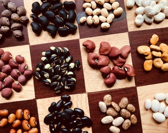 Kolekcja 12 odmian fasoli odpornych na upały i suszę (Tepary, Cowpea i fasola zwykła)