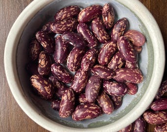 Nasiona fasoli heirloom – odmiana „Railroad”