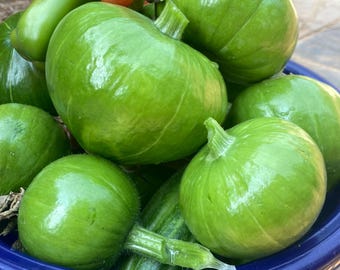 Nasiona Zapallito (C.maxima)