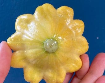 Nasiona dyni żółtej (C. pepo) (Golden Marbre)